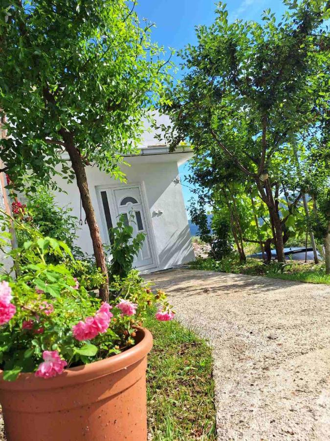 Apartman Glorija Kotor Exterior foto
